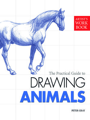 cover image of Artist's Workbook